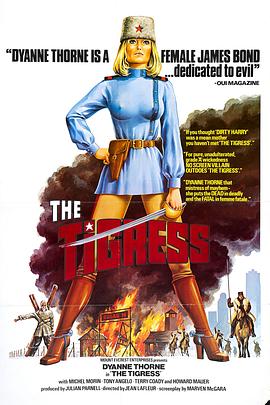 枣庄优化seo费用